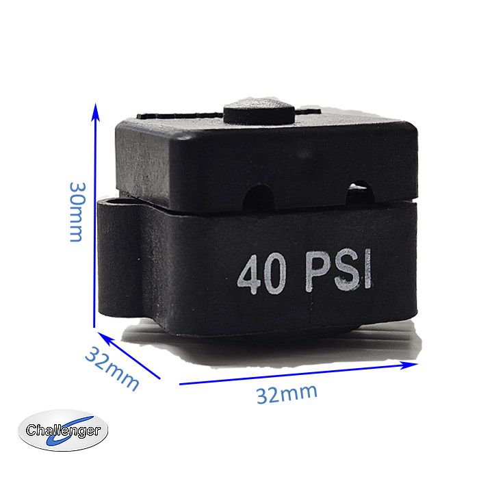 Diaphragm Water Pump Pressure Switch - 20 - 50psi